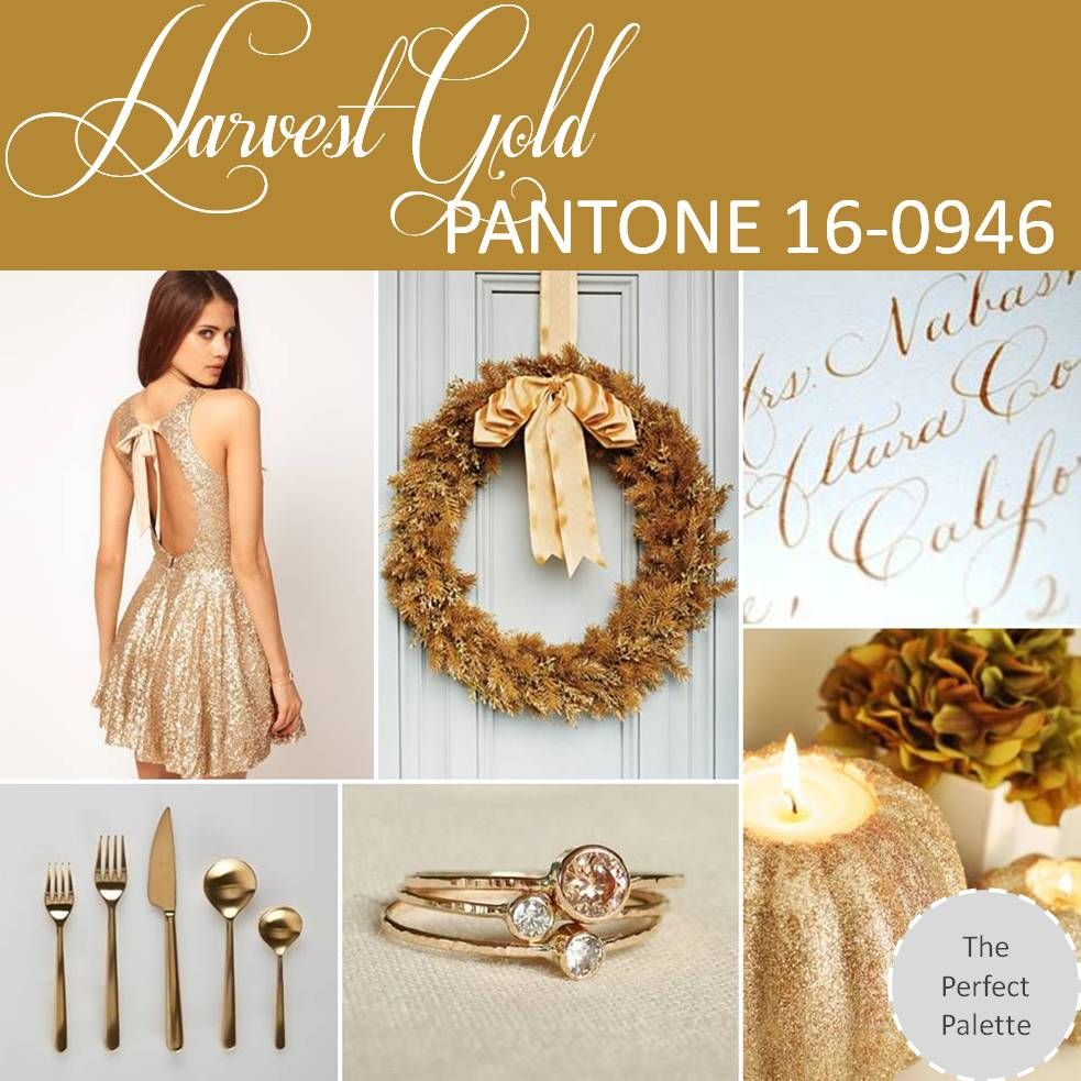 {pantone palette} harvest gold 160946 The Perfect Palette